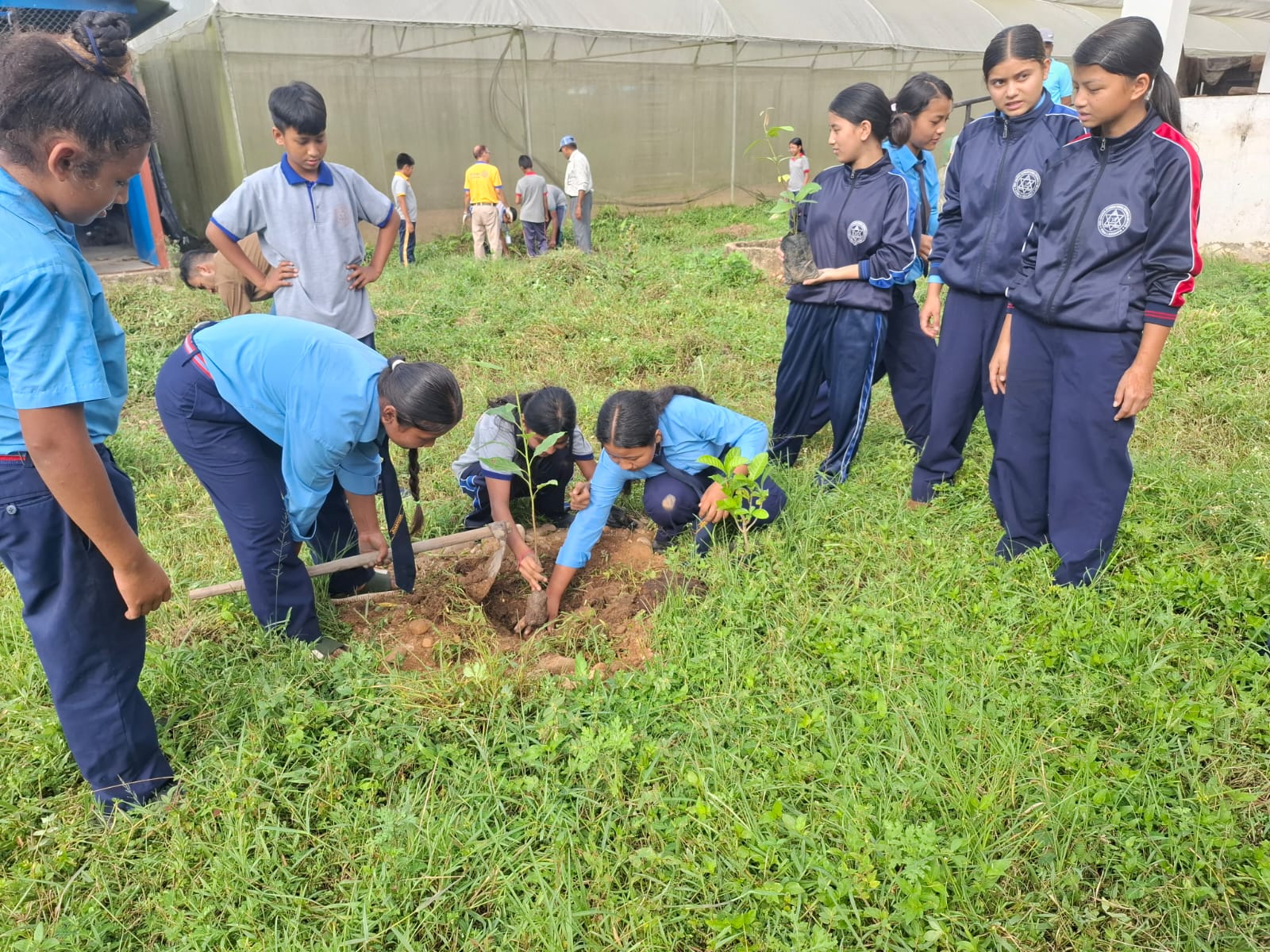 Tree Plantation at Janapriya Secondary School, Hetauda-16