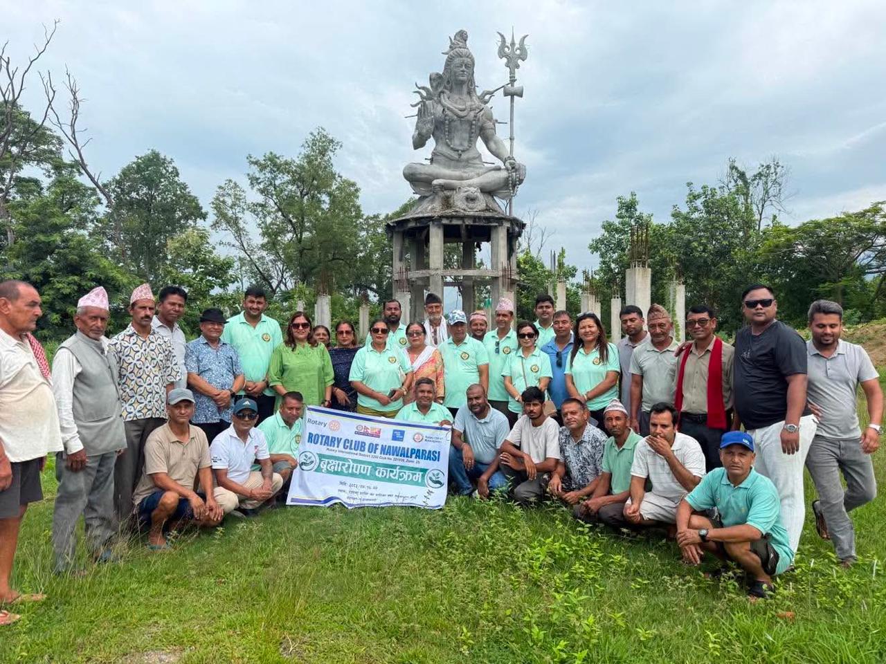 Tree Plantation